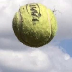 Meet your Posher, Benj